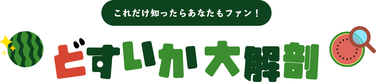 どすいかの大解剖