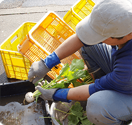 野菜を手洗い