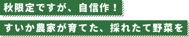 ど素人