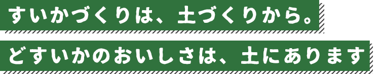 ど素人