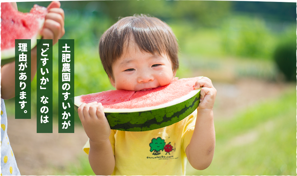 土肥農園のスイカを食べる子供の画像